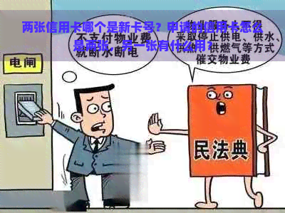 两张信用卡哪个是新卡号？申请的信用卡怎么是两张，另一张有什么用？