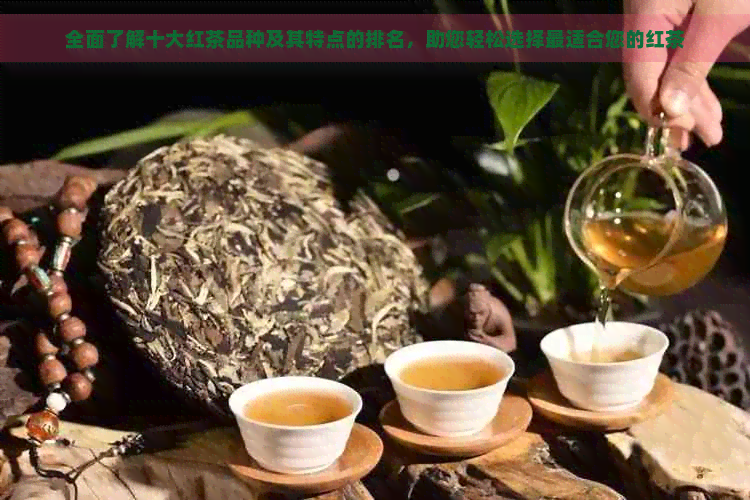 全面了解十大红茶品种及其特点的排名，助您轻松选择最适合您的红茶