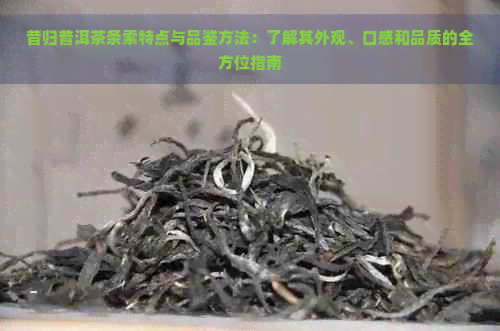 昔归普洱茶条索特点与品鉴方法：了解其外观、口感和品质的全方位指南