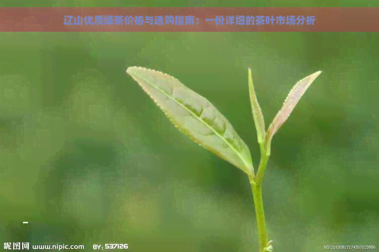 辽山优质绿茶价格与选购指南：一份详细的茶叶市场分析