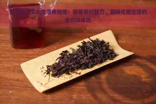 昔归园茶文化生活体验馆：探索茶叶魅力、品味优雅生活的全方位体验