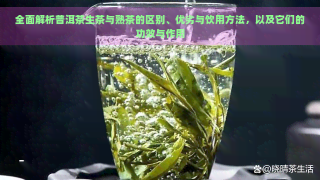 全面解析普洱茶生茶与熟茶的区别、优劣与饮用方法，以及它们的功效与作用