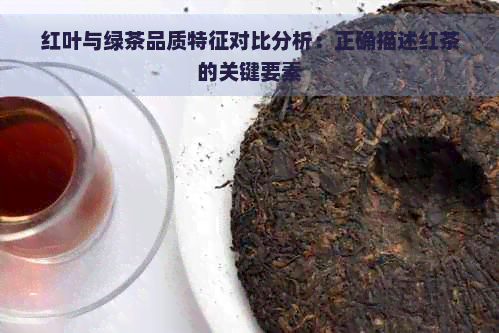 红叶与绿茶品质特征对比分析：正确描述红茶的关键要素