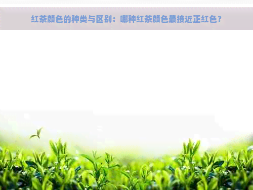 红茶颜色的种类与区别：哪种红茶颜色最接近正红色？