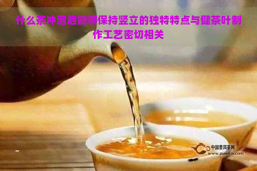 什么茶冲泡后能够保持竖立的独特特点与健茶叶制作工艺密切相关