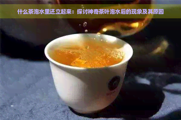 什么茶泡水里还立起来：探讨神奇茶叶泡水后的现象及其原因