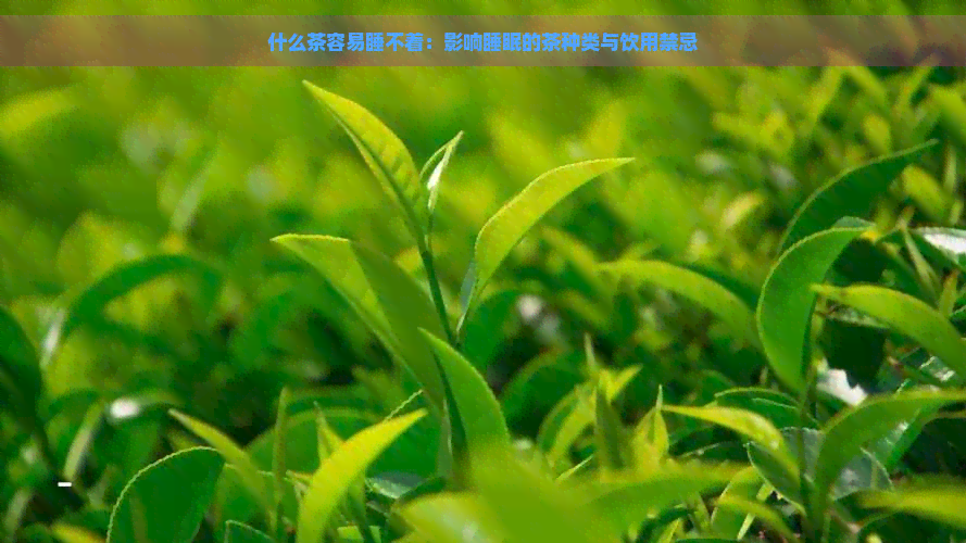 什么茶容易睡不着：影响睡眠的茶种类与饮用禁忌