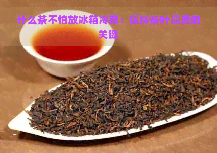 什么茶不怕放冰箱冷藏：保持茶叶品质的关键