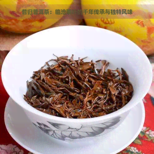 昔归普洱茶：临沧茶叶的千年传承与独特风味