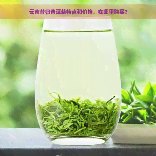 云南昔归普洱茶特点和价格，在哪里购买？