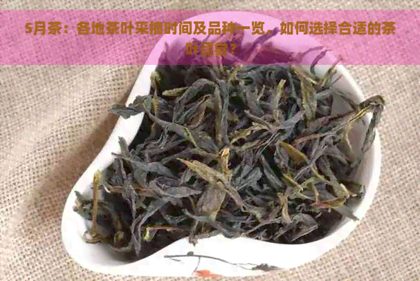 5月茶：各地茶叶采摘时间及品种一览，如何选择合适的茶叶品尝？