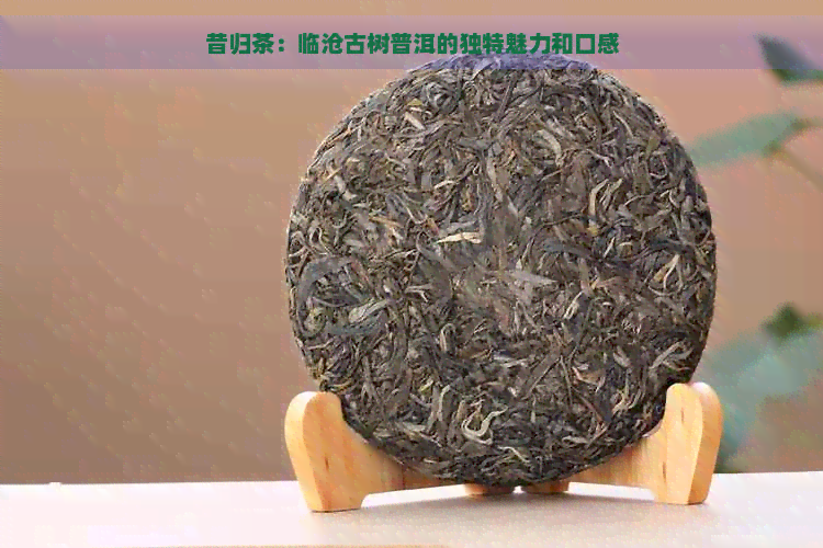 昔归茶：临沧古树普洱的独特魅力和口感