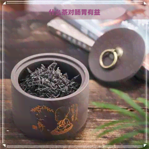 什么茶对肠胃有益