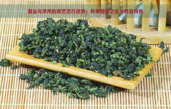 潮汕与漳州的茶艺流行趋势：共享相似之处与各自特色