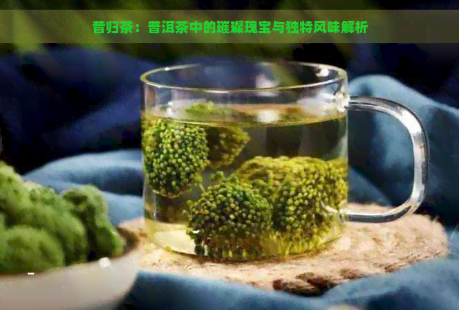 昔归茶：普洱茶中的璀璨瑰宝与独特风味解析