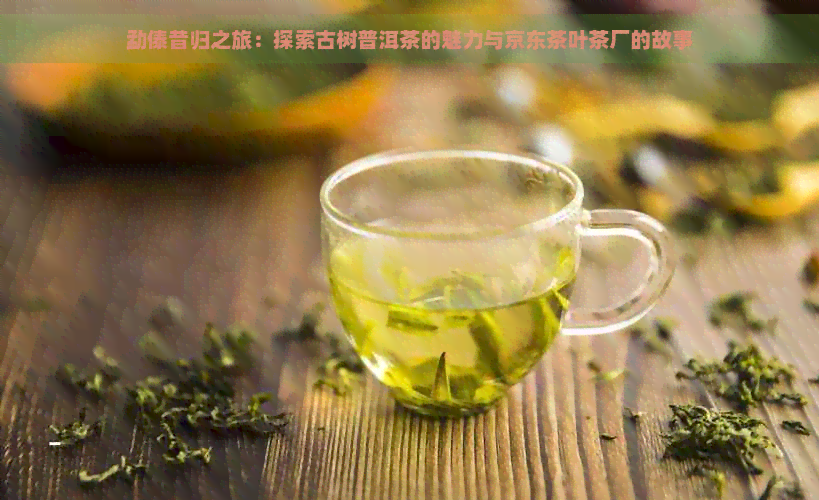 勐傣昔归之旅：探索古树普洱茶的魅力与京东茶叶茶厂的故事