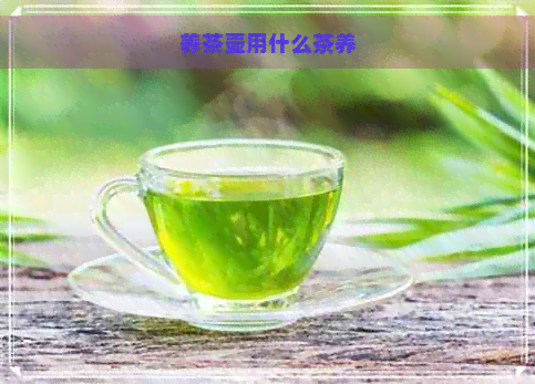 养茶壶用什么茶养