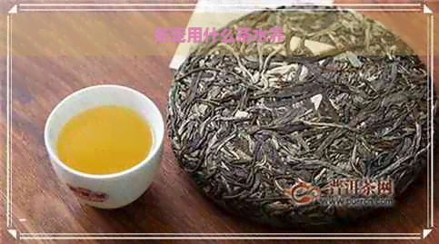 茶宠用什么茶水养