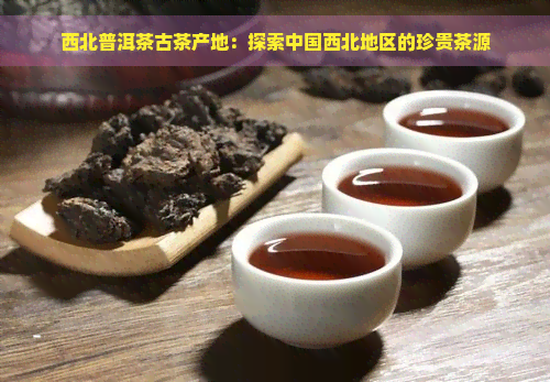 西北普洱茶古茶产地：探索中国西北地区的珍贵茶源