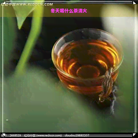 冬天喝什么茶清火