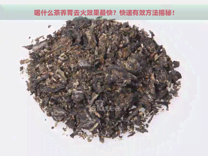 喝什么茶养胃去火效果最快？快速有效方法揭秘！