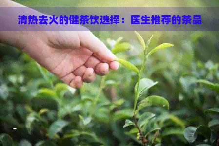 清热去火的健茶饮选择：医生推荐的茶品