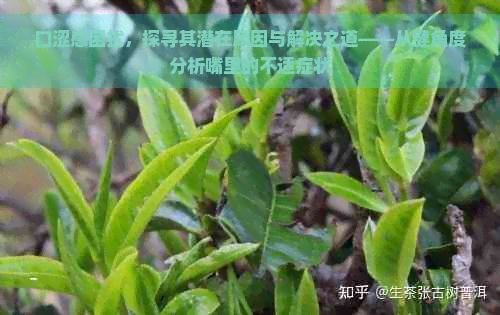 口涩感困扰，探寻其潜在原因与解决之道——从健角度分析嘴里的不适症状