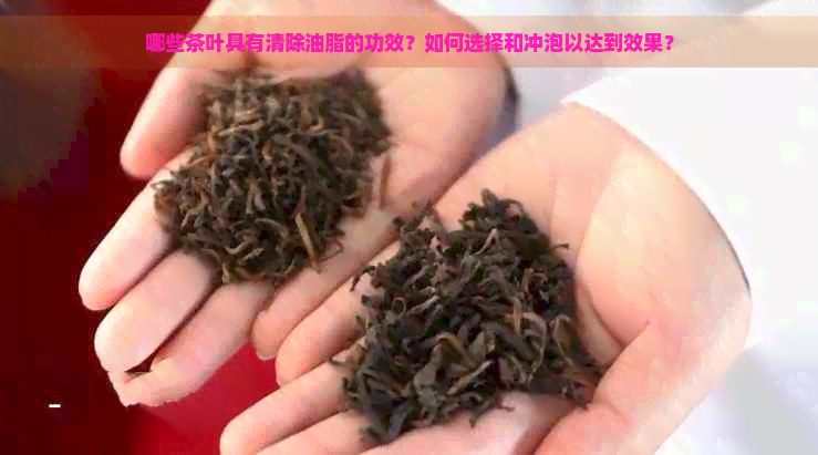 哪些茶叶具有清除油脂的功效？如何选择和冲泡以达到效果？