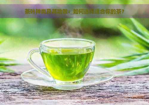 茶叶种类及其功效：如何选择适合你的茶？