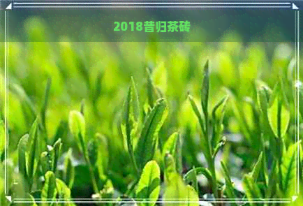 2018昔归茶砖