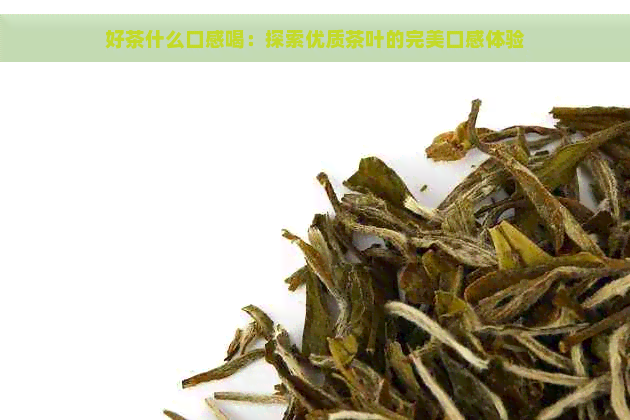 好茶什么口感喝：探索优质茶叶的完美口感体验