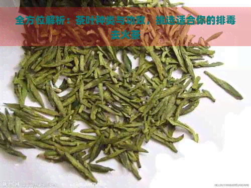 全方位解析：茶叶种类与功效，挑选适合你的排去火茶