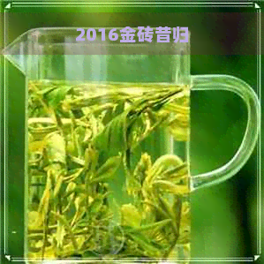 2016金砖昔归