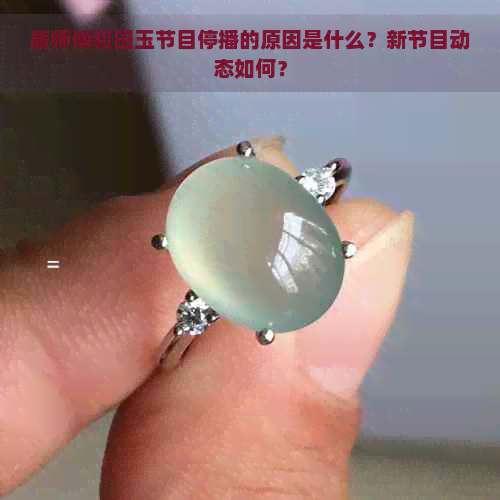 康师傅和田玉节目停播的原因是什么？新节目动态如何？