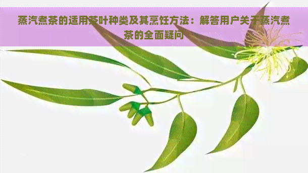 蒸汽煮茶的适用茶叶种类及其烹饪方法：解答用户关于蒸汽煮茶的全面疑问