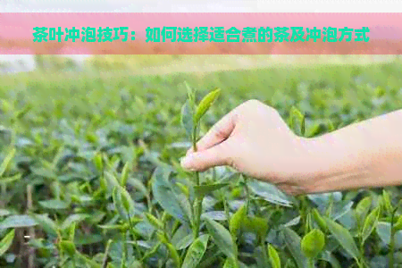 茶叶冲泡技巧：如何选择适合煮的茶及冲泡方式