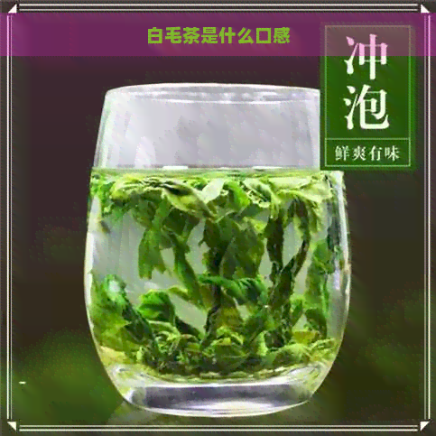 白毛茶是什么口感