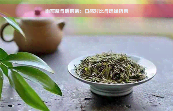 雨前茶与明前茶：口感对比与选择指南