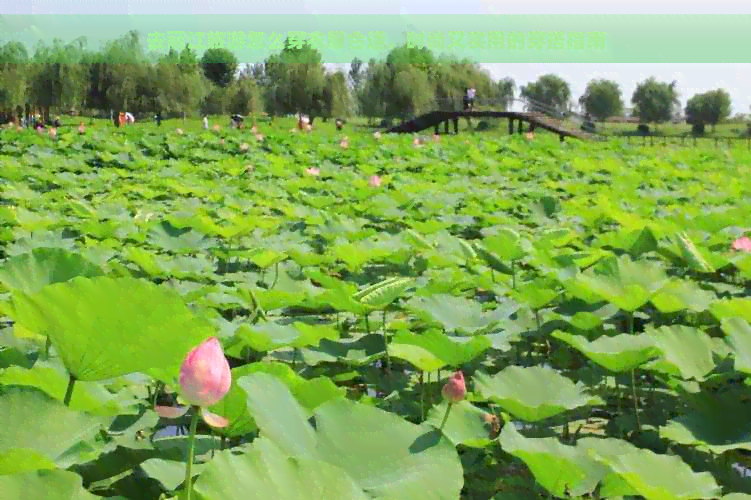 去丽江旅游怎么穿衣服合适，时尚又实用的穿搭指南