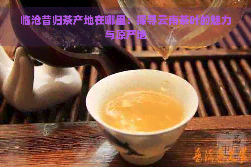 临沧昔归茶产地在哪里：探寻云南茶叶的魅力与原产地