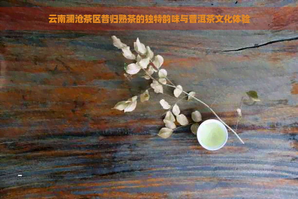 云南澜沧茶区昔归熟茶的独特韵味与普洱茶文化体验