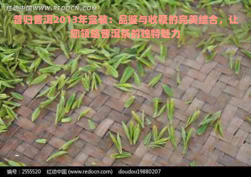 昔归普洱2013年盒装：品鉴与收藏的完美结合，让您领略普洱茶的独特魅力