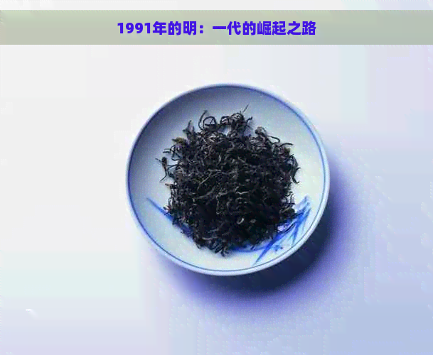 1991年的明：一代的崛起之路