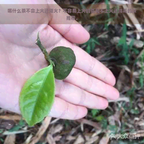 喝什么茶不会上火还降火？不容易上火的茶和不上火还排的茶推荐。