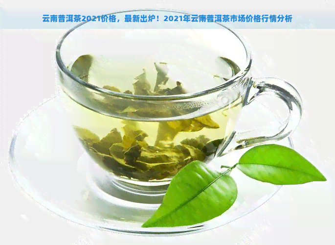 云南普洱茶2021价格，最新出炉！2021年云南普洱茶市场价格行情分析