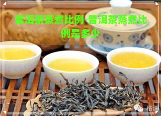 普洱茶蒸煮比例-普洱茶蒸煮比例是多少