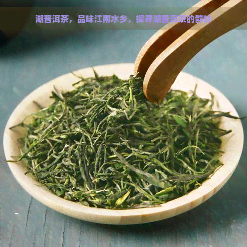 湖普洱茶，品味江南水乡，探寻湖普洱茶的韵味