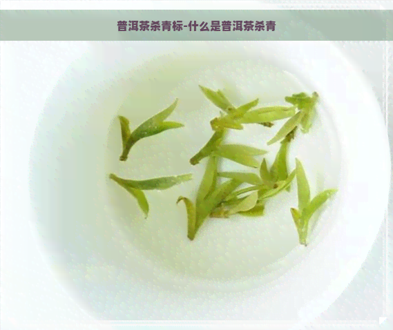 普洱茶杀青标-什么是普洱茶杀青