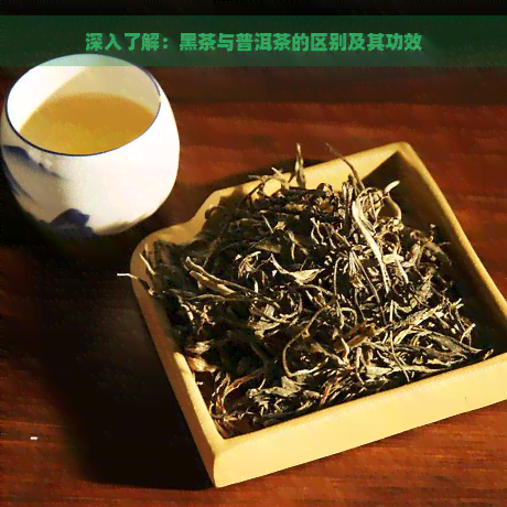 深入了解：黑茶与普洱茶的区别及其功效