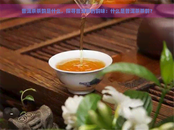 普洱茶茶韵是什么，探寻普洱茶的韵味：什么是普洱茶茶韵？